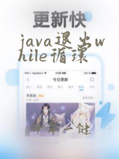 java退出while循环