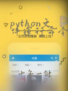 python文件运行命令