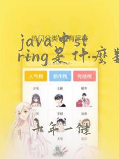 java中string是什么数据类型