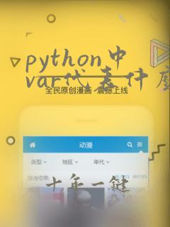 python中var代表什么