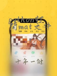 python打开mat文件