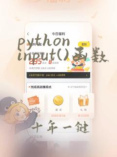 python input()函数