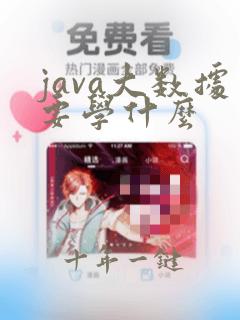 java大数据要学什么