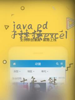 java pdf转换excel