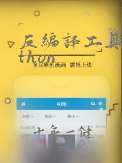 反编译工具python