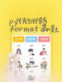 python的format函数