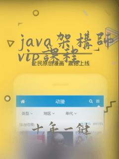 java架构师vip课程
