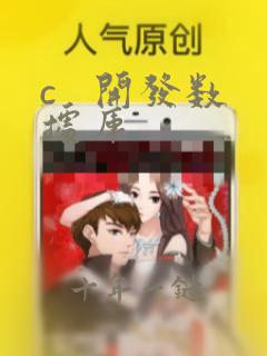 c 开发数据库