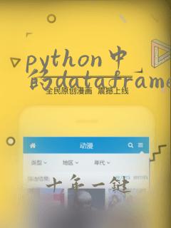 python中的dataframe