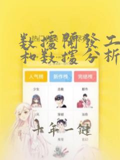 数据开发工程师和数据分析工程师
