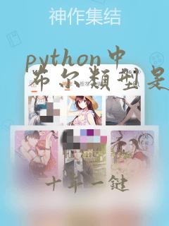 python中布尔类型是特殊的
