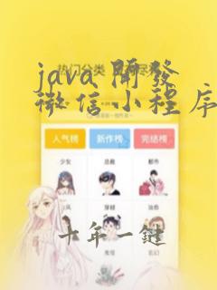 java 开发微信小程序