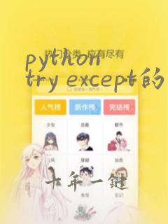python try except的用法