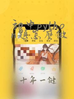 初中python题怎么做