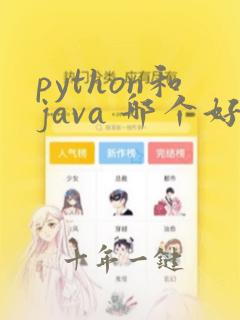 python和java 哪个好