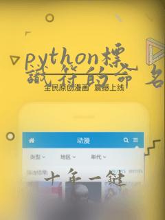 python标识符的命名规范