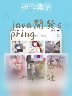 java开发spring