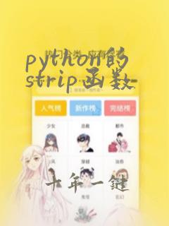 python的strip函数