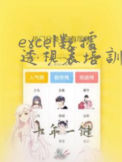 excel数据透视表培训ppt