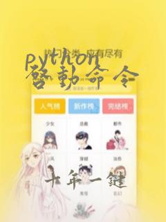 python 启动命令