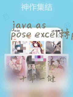 java aspose excel转pdf