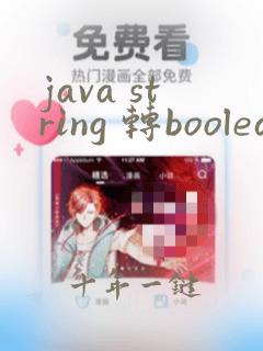 java string 转boolean