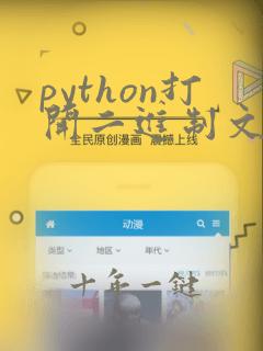 python打开二进制文件