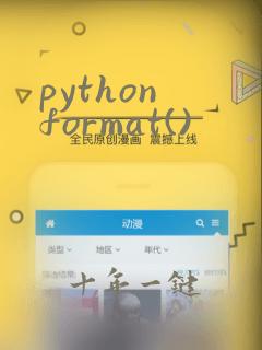 python format()