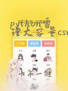 python处理大容量csv数据