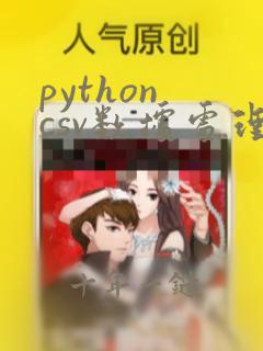 python csv数据处理