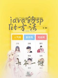 java的split方法