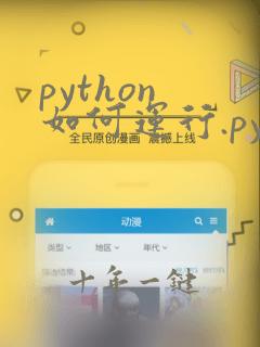 python 如何运行.py