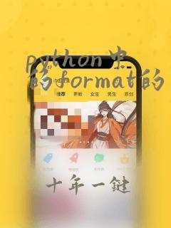 python中的format的用法