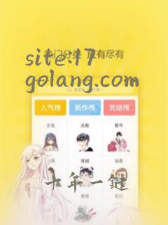 site:17golang.com