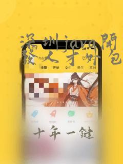 深圳java开发人才外包公司