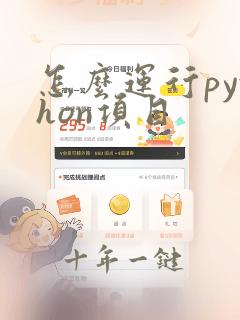 怎么运行python项目