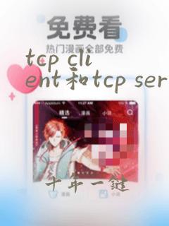 tcp client和tcp server