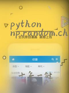 python np.random.choice