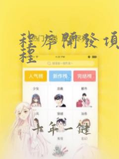 程序开发项目流程