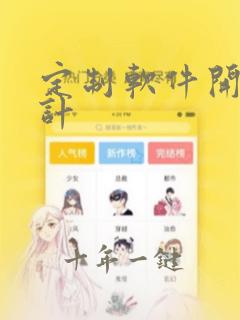 定制软件开发设计