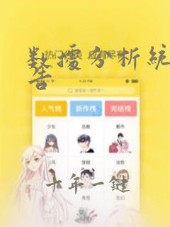 数据分析统计报告