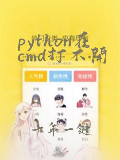 python在cmd打不开