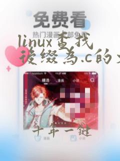 linux查找后缀为.c的文件