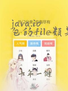 java.io包的file类是什么类