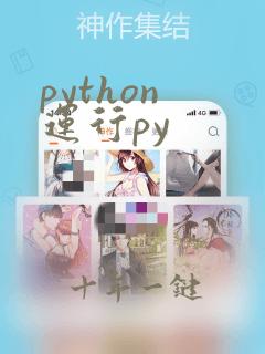 python 运行py