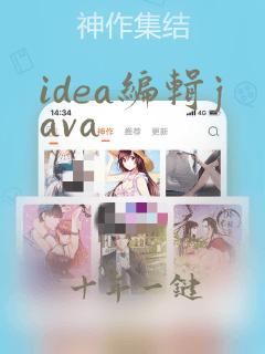 idea编辑java