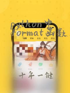 python中format函数怎么用