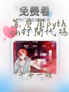 怎么用python打开代码
