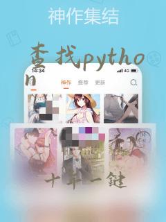 查找python