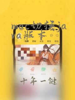 mac切换java版本